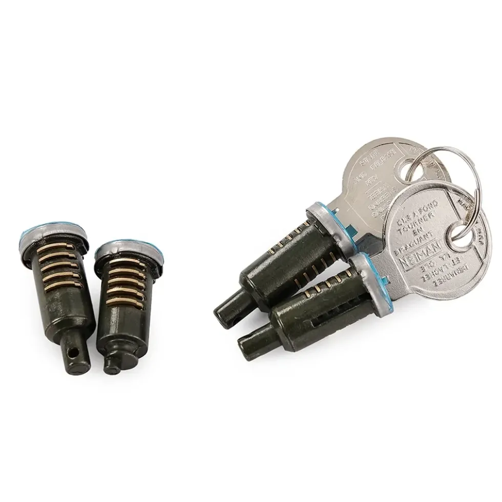 Barillets de portes et de hayon NEIMAN pour Renault 4 (10/1961-01/1994) - 4 pièces