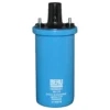 Bobine Bleue BERU 12V