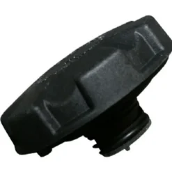 Bouchon de vase d'expansion pour Bmw X5 E70 et Lci (05/2006-06/2013) - Essence