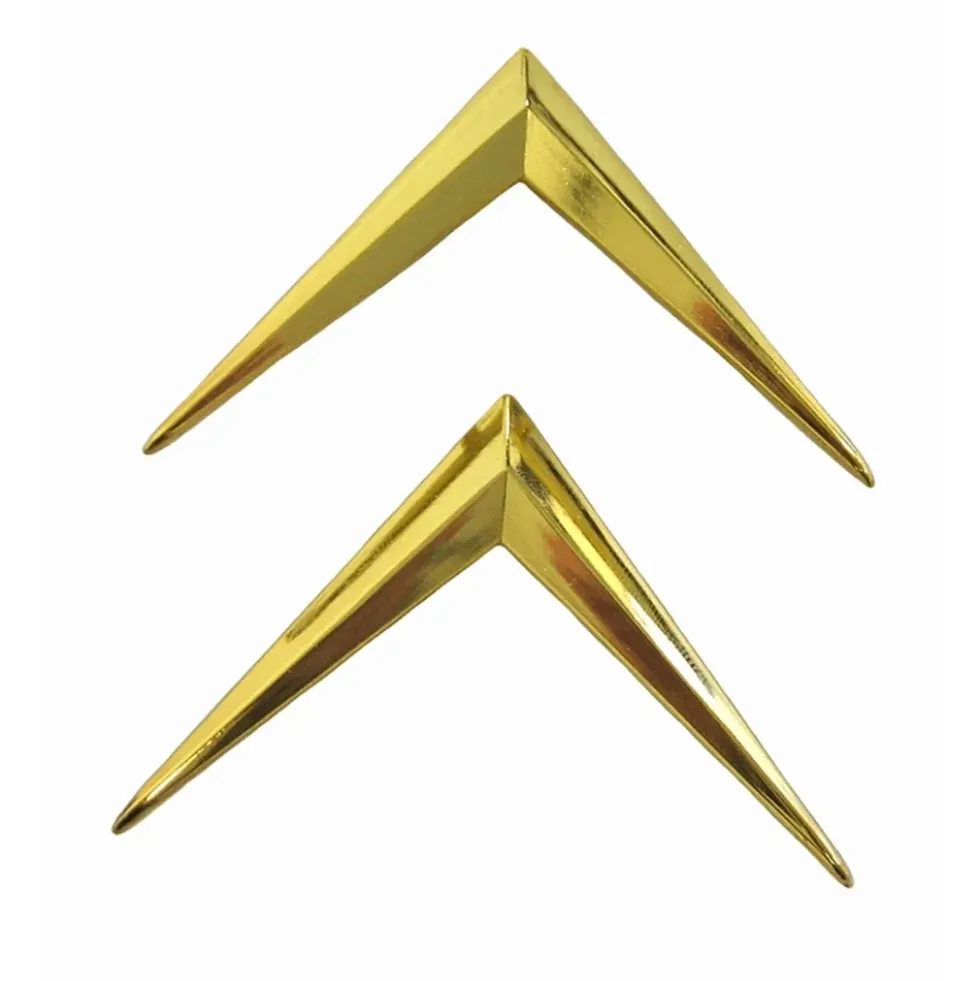 Chevrons dorés sur malle arrière pour Citroën DS (1956/1975)