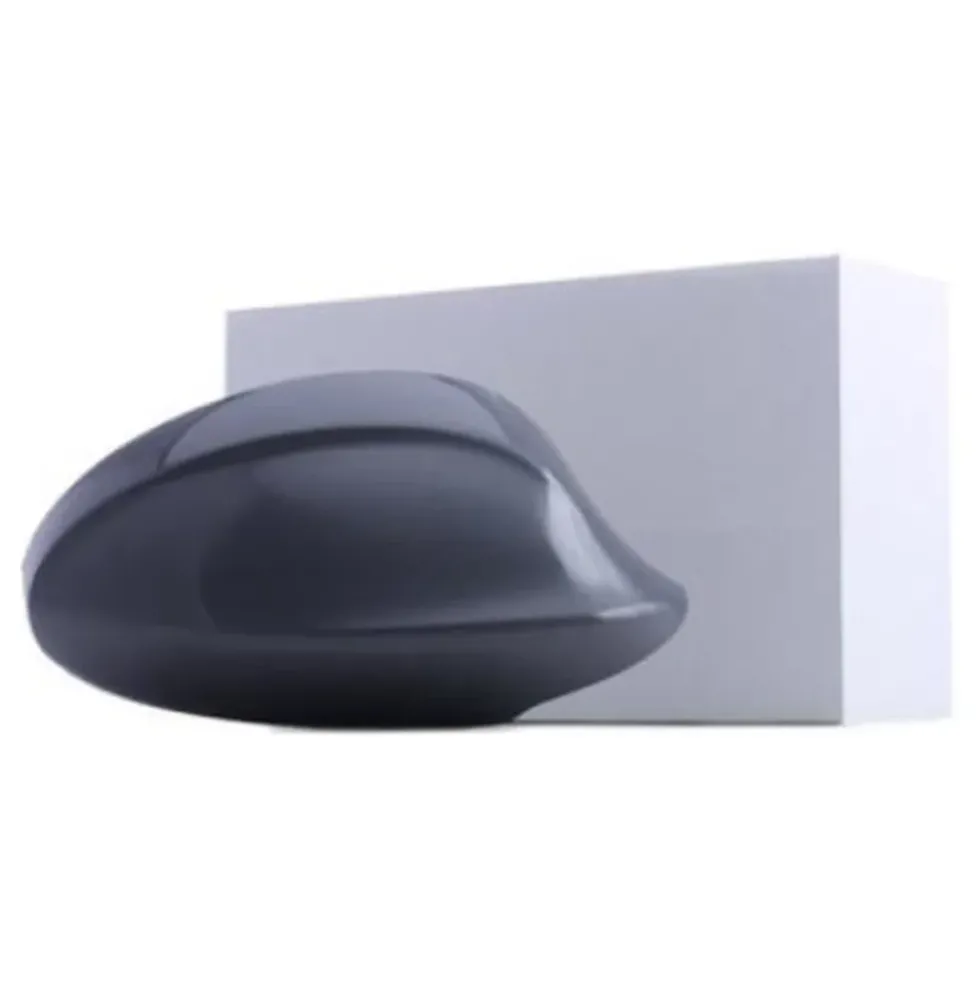 Coque de rétroviseur droit RIDEX pour BMW Série 3 E90 Berline et E91 Touring (02/2004-09/2008)