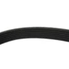 Courroie accessoire pour Mercedes Classe E W124 Diesel OM603 et OM605 - Sans climatisation