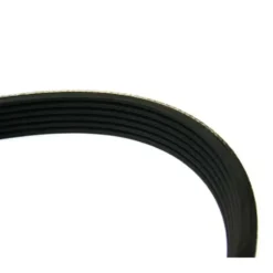 Courroie d'accessoires pour Audi A3 (8P) 1.9 et 2.0 TDi sans climatiseur
