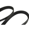 Courroie d'accessoires 21,36 x 1660 mm pour Golf 4 et Bora