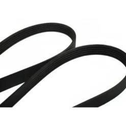 Courroie d'alternateur et de pompe à eau 1885mm FEBI pour BMW Série 3 E36 Berline Touring et Compact 318tds (01/1994-08/2000) - moteur M41D17