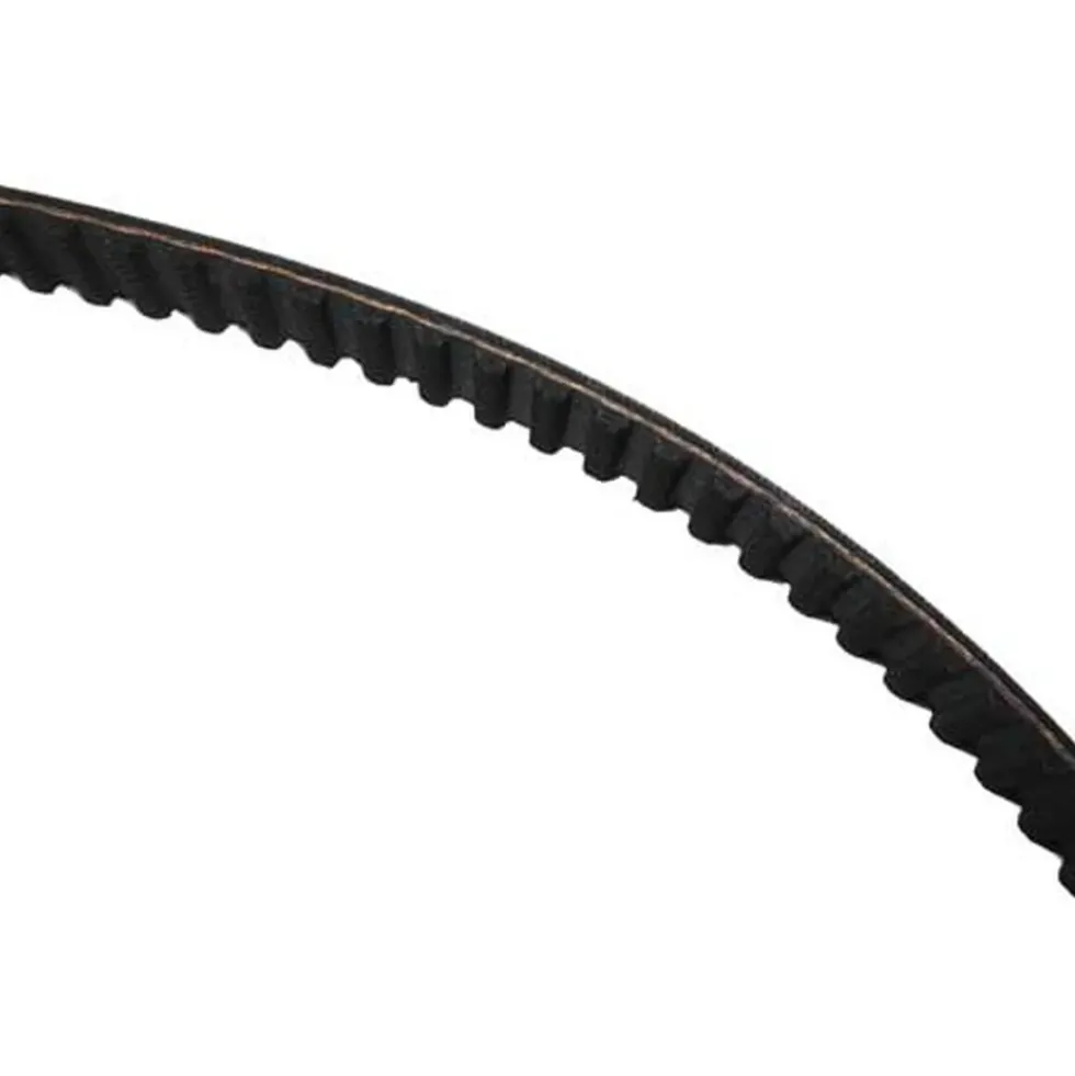 Courroie de distribution 141 dents pour A3 (8L)