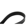 Courroie de pompe de climatisation pour BMW E46 (14.24 X 882mm)