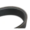 Courroie multipistes 1180 mm pour Audi 80 type 8C