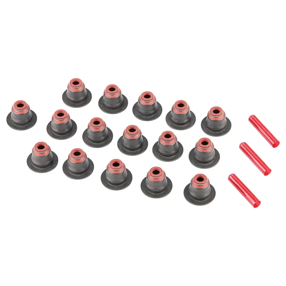 Kit joints de queue de soupape pour BMW X5 E53 V8 (01/2003-09/2006) - moteurs N62B44 N62B48