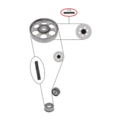 Petite courroie de distribution arrière pour VW LT 2.4 D et TD