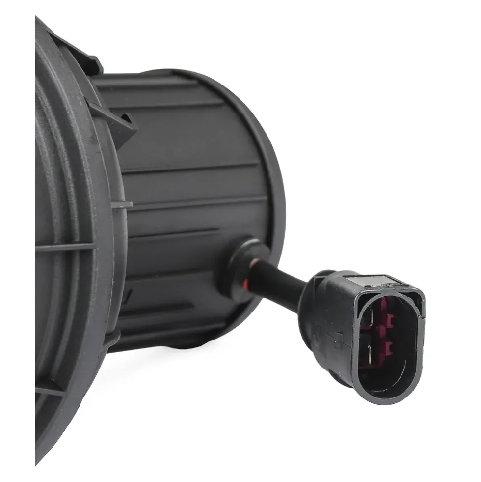 Pompe d'air secondaire pour Porsche Cayenne type 9PA (2004-2006)