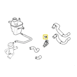 Raccord sur durite d'eau pour Mini R50 Berline et R52 Cabriolet (09/2000-07/2008)