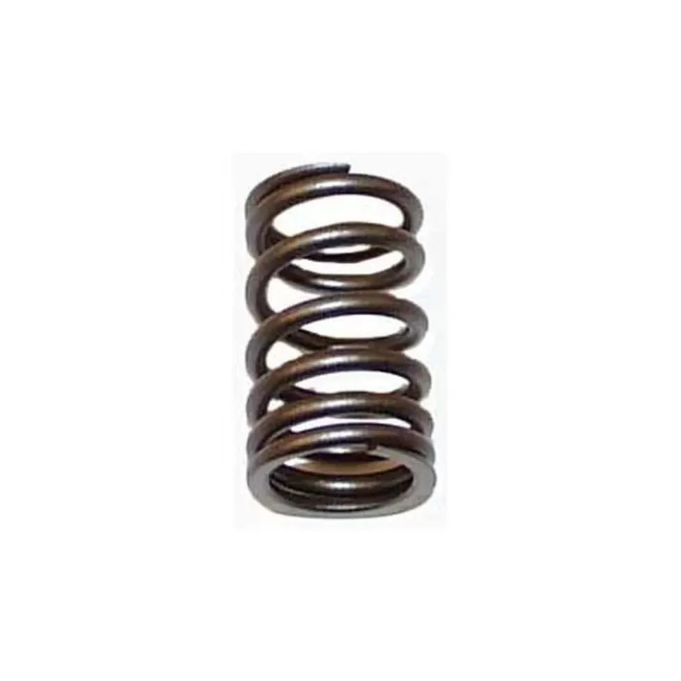 Ressort de soupape pour moteur 1200