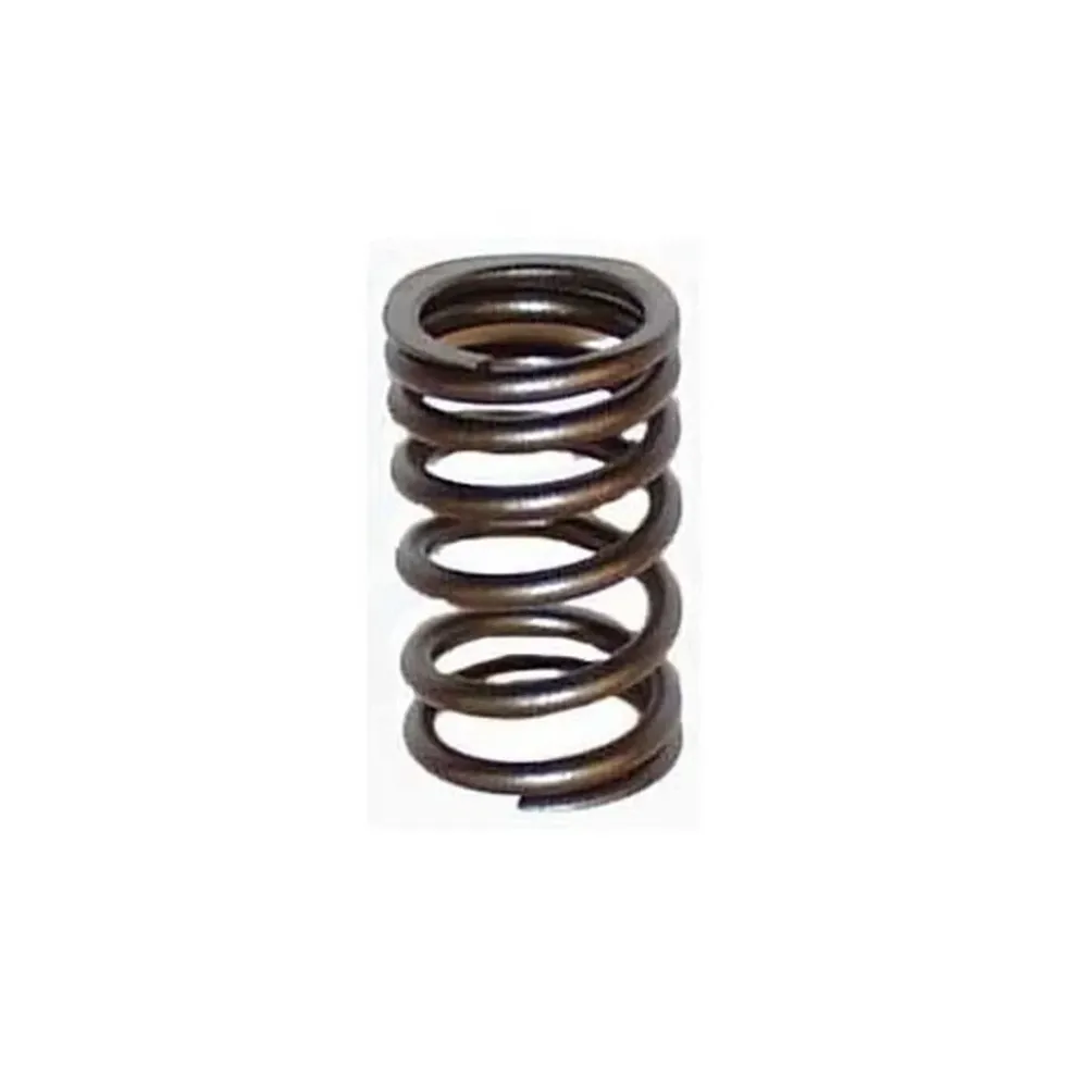 Ressort de soupape pour moteur pied moulé 25cv / 30cv Style OKRASA