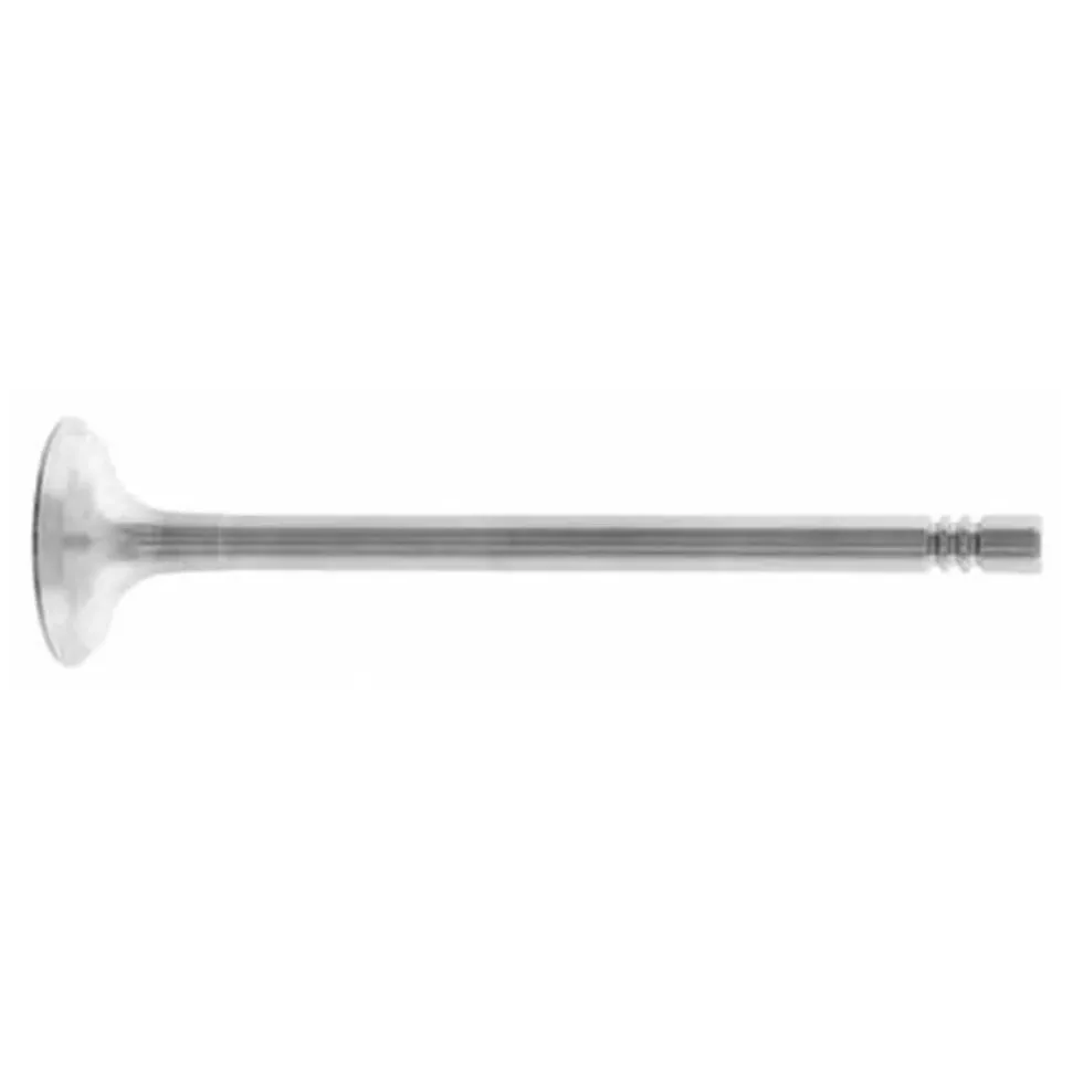 Soupape d'échappement pour Golf 4 et New Beetle