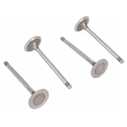 Soupapes d'admission pour moteurs Type 4 1.7, 1.8 et 2.0 L 39x8mm - par 4