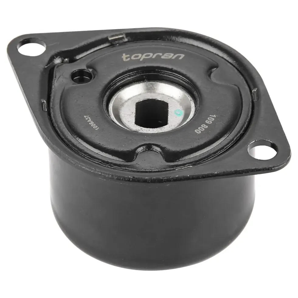 Tendeur de courroie d'accessoires pour VOLKSWAGEN Transporter T4 (1990-2003)