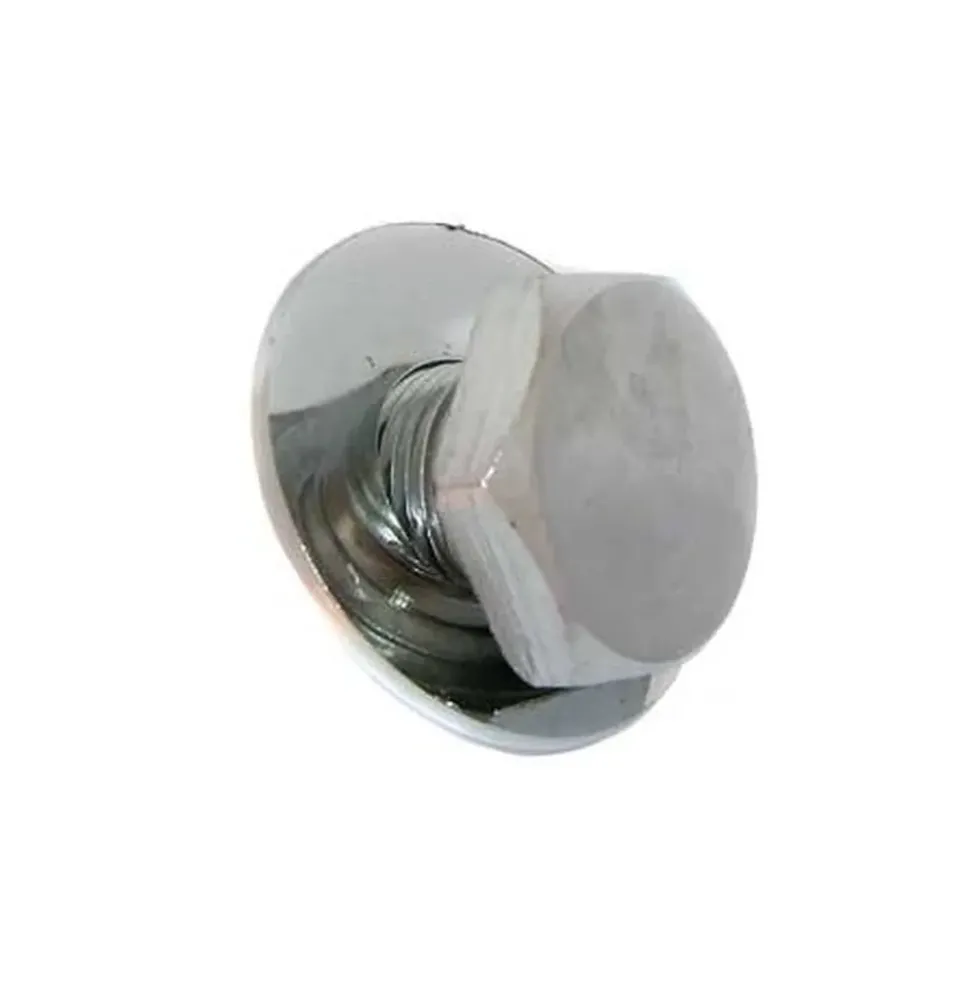 Vis chromée de poulie de vilebrequin pour VW Coccinelle et Combi