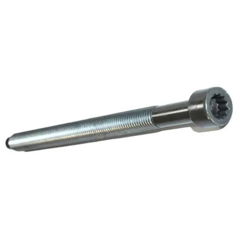 Vis de culasse FEBI pour Audi A6 C5