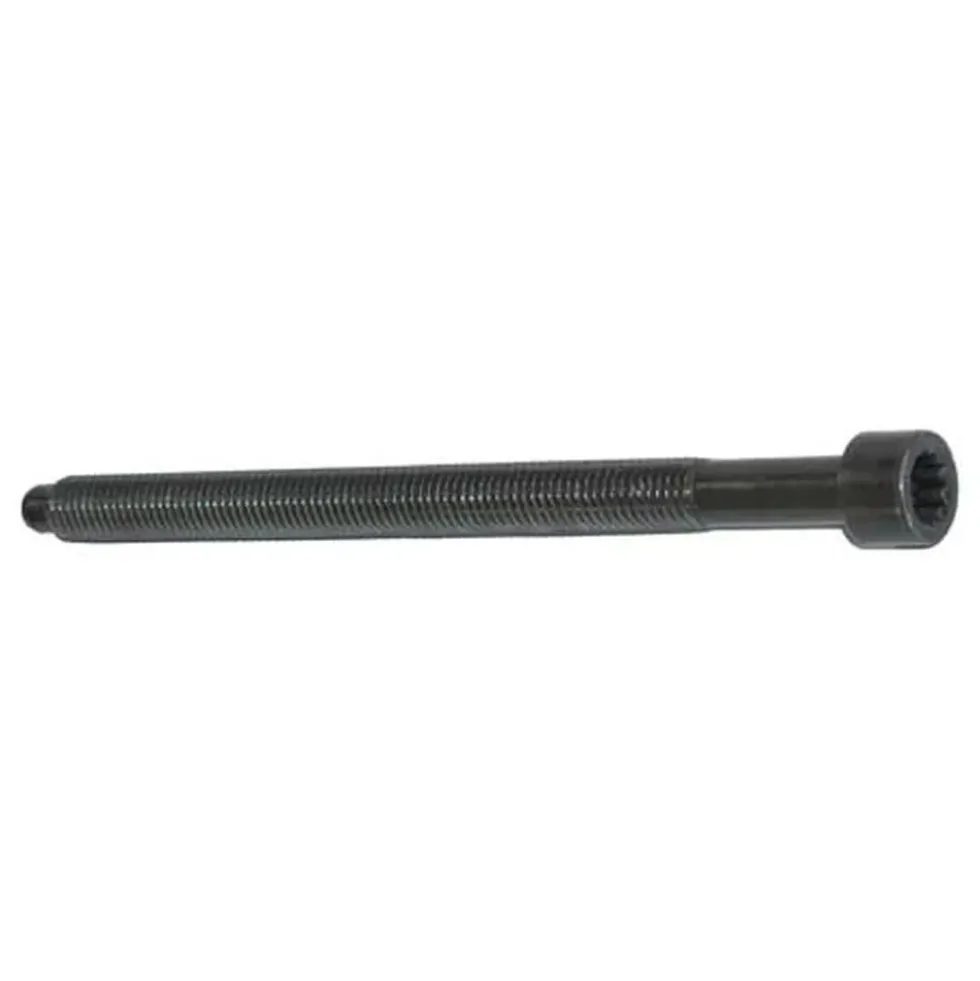 Vis de culasse FEBI pour VW Golf 4 1.9TDI